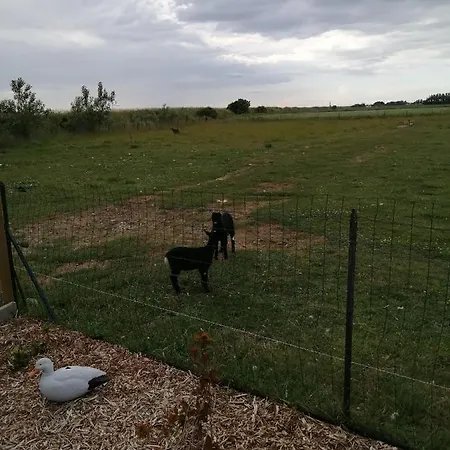 Repos Et Tranquillite G Апартаменты