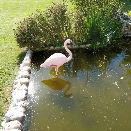 Repos Et Tranquillite G Apartment Cayeux-sur-Mer