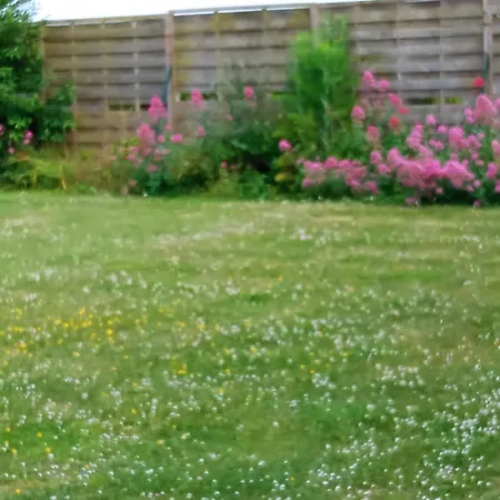 Repos Et Tranquillite G