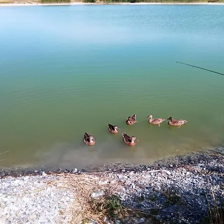 Appartement Repos Et Tranquillite G *