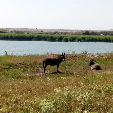 Repos Et Tranquillite G Appartement *
